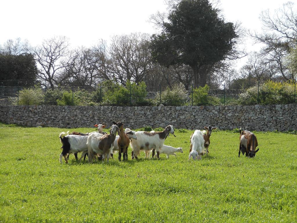 הוילה מרטינה פרנקה Agriturismo Masseria Casedde Vecchie מראה חיצוני תמונה