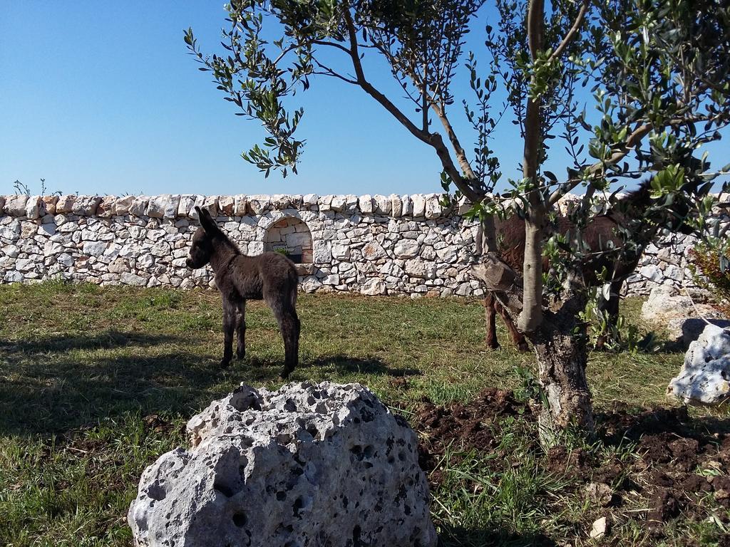 הוילה מרטינה פרנקה Agriturismo Masseria Casedde Vecchie מראה חיצוני תמונה
